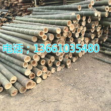  安吉縣鼎豐竹木工藝制品廠 主營 竹竿 竹籬笆 竹涼亭